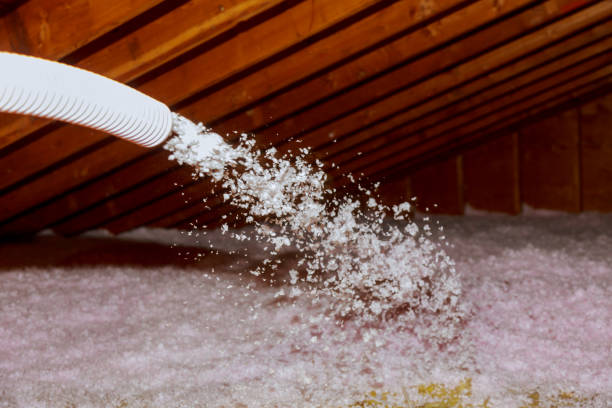Best Insulation Maintenance and Repair in Hanamaulu, HI