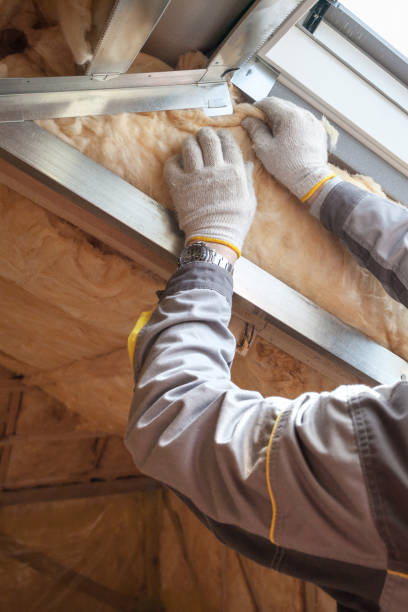 Best Insulation for Specific Applications in Hanamaulu, HI