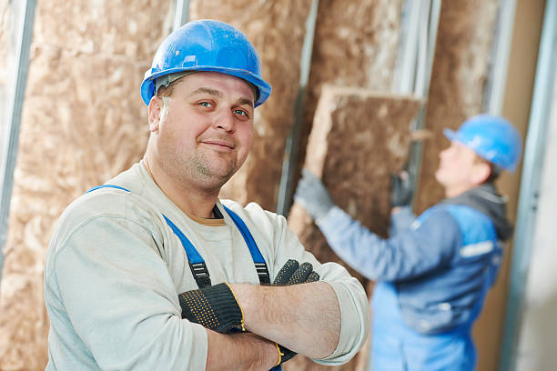 Best Insulation for Specific Applications in Hanamaulu, HI