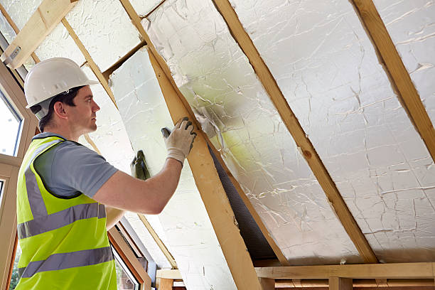 Types of Insulation We Offer in HI